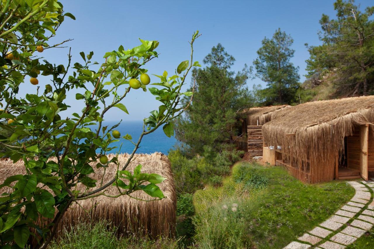 Flavia Hotel Faralya Exterior photo